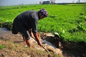 Punjab Farmers Adapt to Shrinking Water Supply