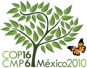 Cancun and the Fundamentals of the Global Climate Crisis