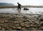 The Year of Drought and Flood