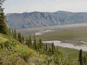 Studying the Farthest-North Trees
