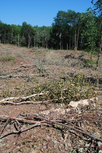 news.climate.columbia.edu