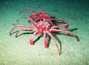 A Sea Change, Deep Under Antarctic Waters