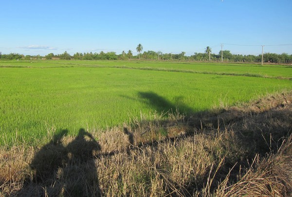 Achieving Water Sustainability in Ceará, Brazil – State of the Planet