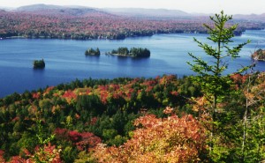 Nature & Naturalists, an Ode to Adirondack Color
