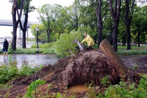 Eco-Markets: Business, Regulation, and Sustainability