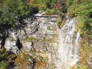 Biodiversity in the Shawangunk Mountains