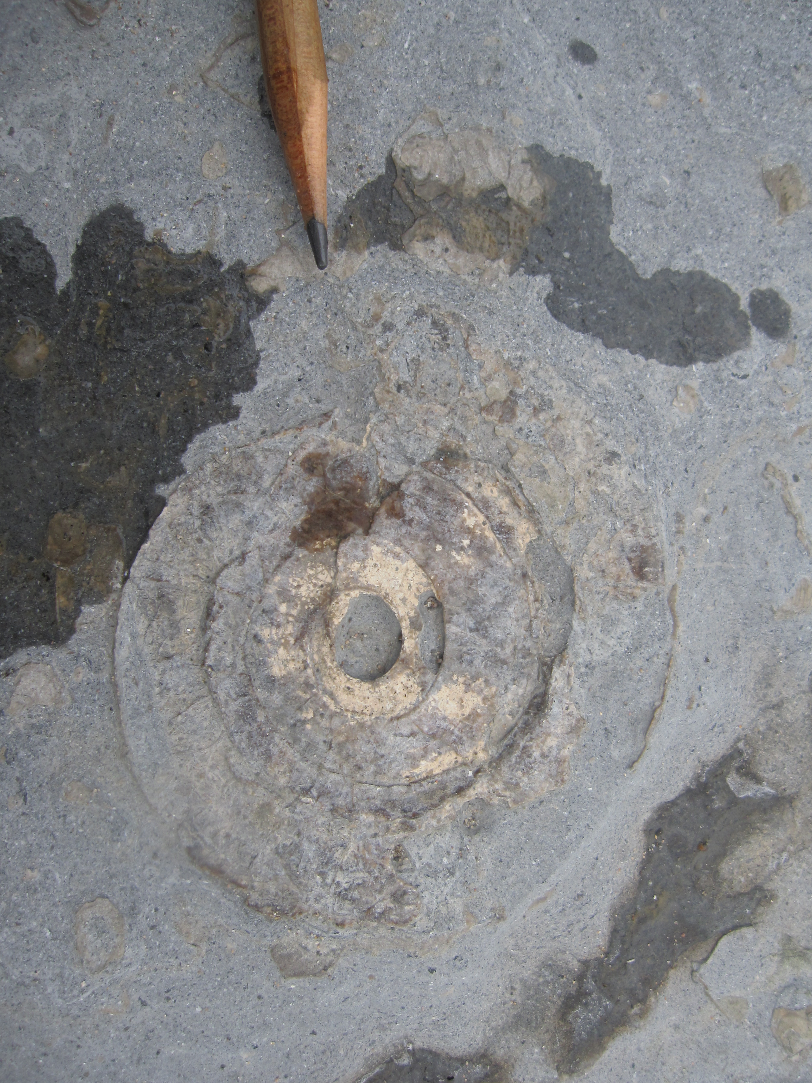 Changing Ocean Chemistry: the Poem