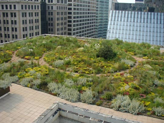 There’s No One-Size-Fits-All Green Roof, Studies Show