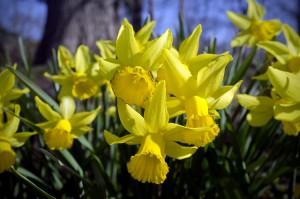 Spring Sprang Early: Should We Worry?