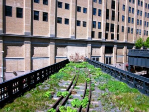 A Trip Along the High Line