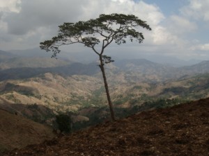 Renewed Effort Underway to Better Understand Challenges to Peacebuilding