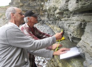 Along an Ancient Coast, Clues to a Global Extinction