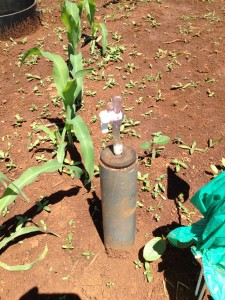 Investigating Impacts of Increased Fertilizer Use in Africa