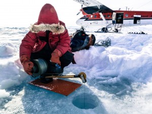 Investigating the World’s Oceans, Pole to Pole and Deep Below the Bottom