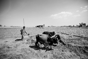 Breaking the Poverty Trap in Ethiopia: Subsistence, Satellites, and Some Other Important Stuff