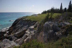 Coral Reef Ecology: Bermuda – Spring Break Course