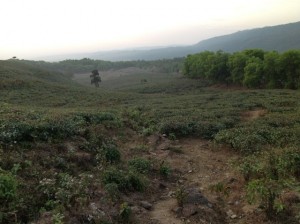 Conclave in Sylhet, Bangladesh