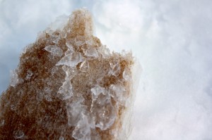 A Tale of Sea Ice, Algae and the Arctic