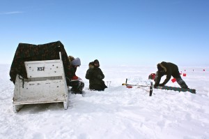 The Arctic’s Secret Garden