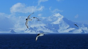 Can an Expedition to Antarctica Promote Widespread Change?
