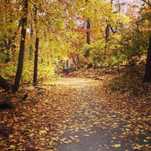 Losing Leaf Peepers: the Effect of Climate Change on Fall Color