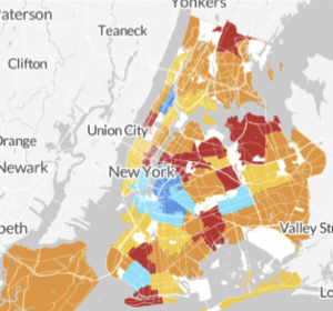 Using Technology for Development in NYC
