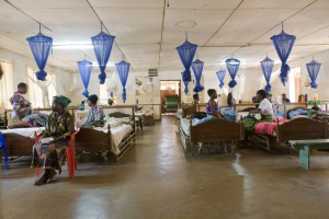 Climate Change: a Matter of Public Health