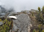 Glacier Marks on Mount Chirripó