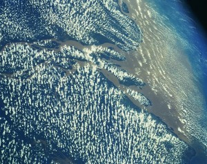 A Climate Battle Cry for Earth Day