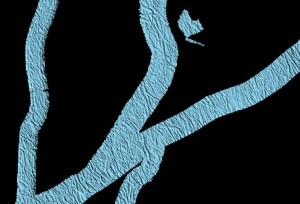 Mapping the Seafloor