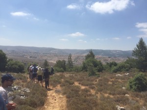 The Environmental Paradox: Escalating Conflict and Bringing Peace in the Middle East