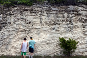 Head for the Hills