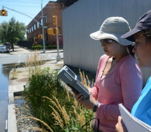 The Big City, Subdivided for Sustainability