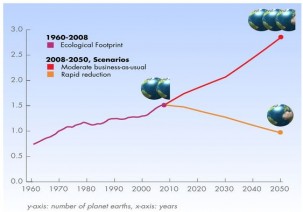 For Sustainability, Rethink Our Systems
