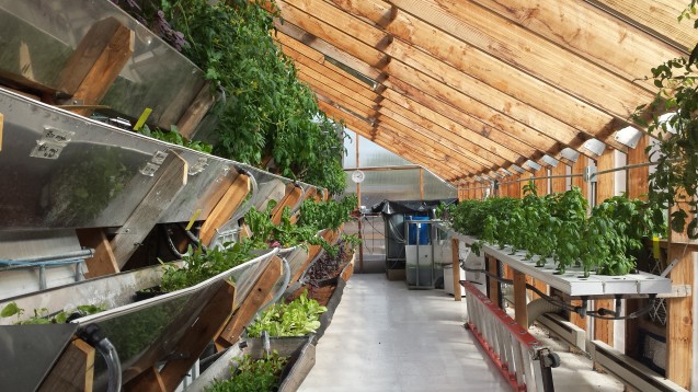 Edenworks uses aquaponics technology