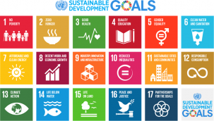 Using Data to Assess Progress of Sustainable Development Goals