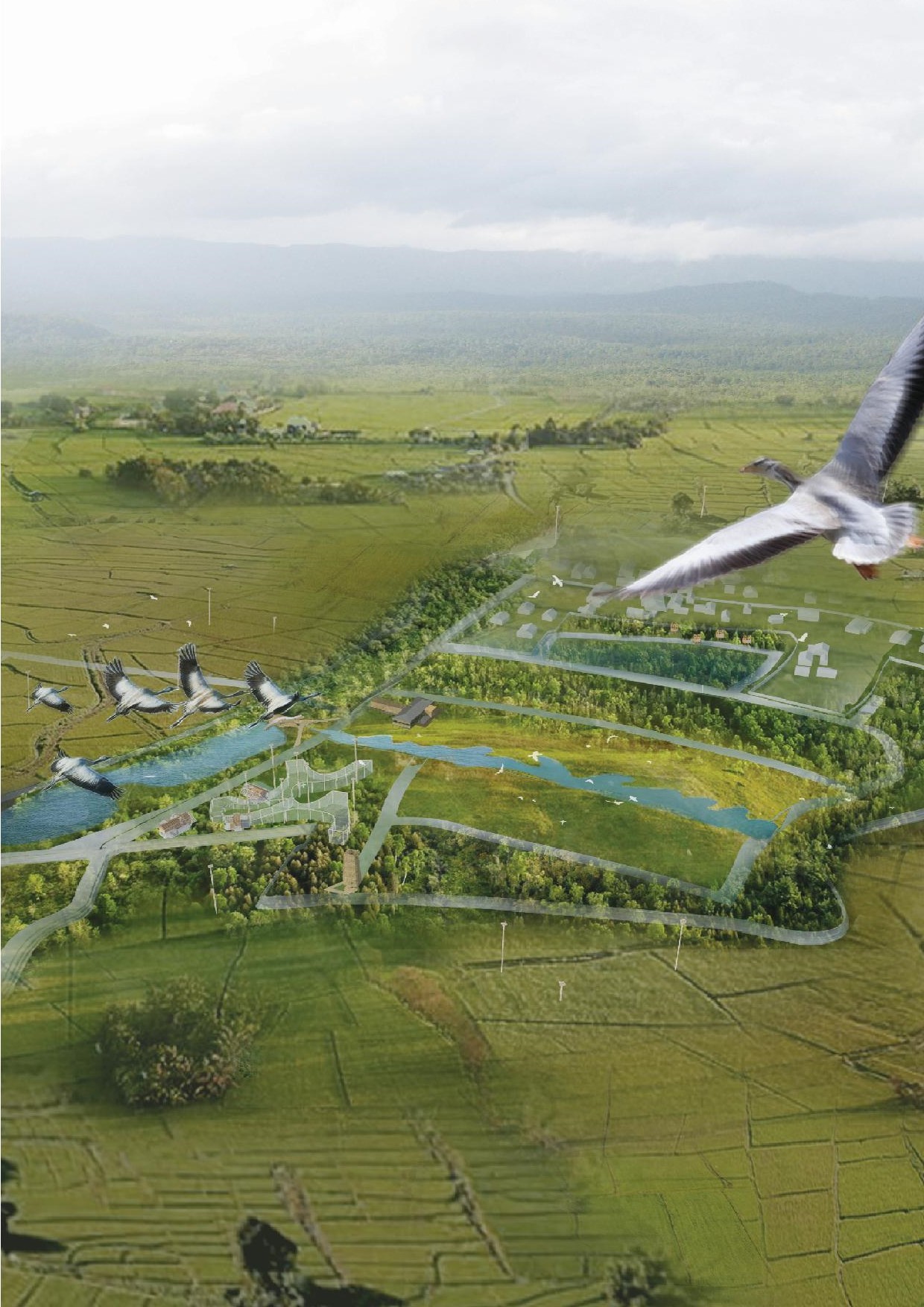 Mssm Design MSSM Alumnus Designs Bird Habitat in Thailand – State of the Planet