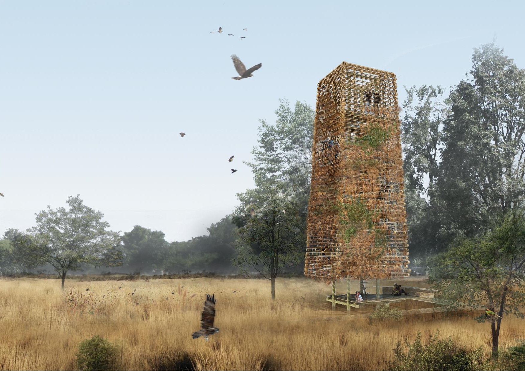 Mssm Design MSSM Alumnus Designs Bird Habitat in Thailand – State of the Planet