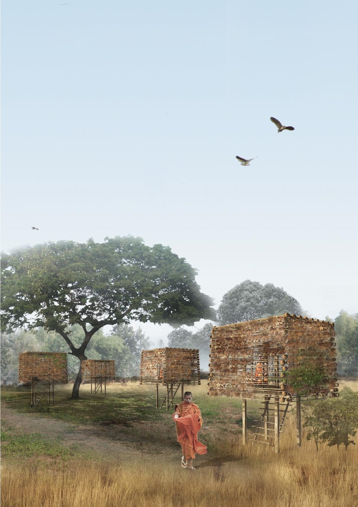 Mssm Design MSSM Alumnus Designs Bird Habitat in Thailand – State of the Planet
