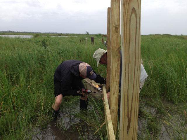 Swamp Structures Construction in the Swamp – State of the Planet