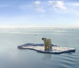 Climate Week: Why Does It Matter?