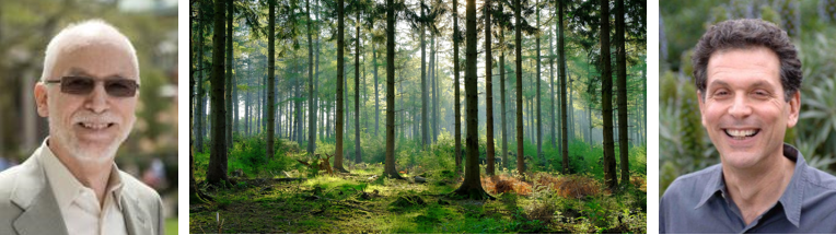Earth Institute Practicum – State of the Planet