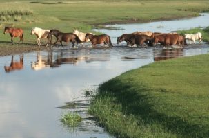 Shifting Monsoon Altered Early Cultures in China, Study Says