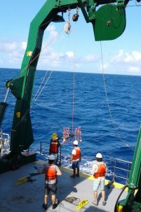 Deep thoughts from the Deep Blue Sea