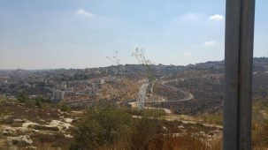 Natural Parks as a Form of Oppression?