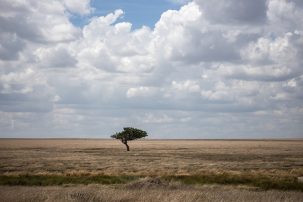 The Path to Our Evolution