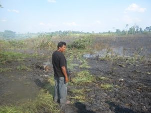 Global Environment Report Card Sees Dirty Air, Failing Fisheries