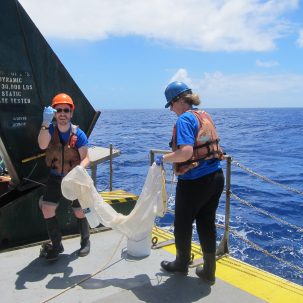 Exploring the Microbiome of an Ocean Bacteria