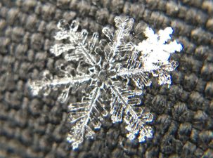 ‘X-Snow’ Project Needs Your Help To Unlock The Secrets of Snow