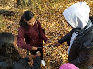 Measuring Lead in New York City Soils